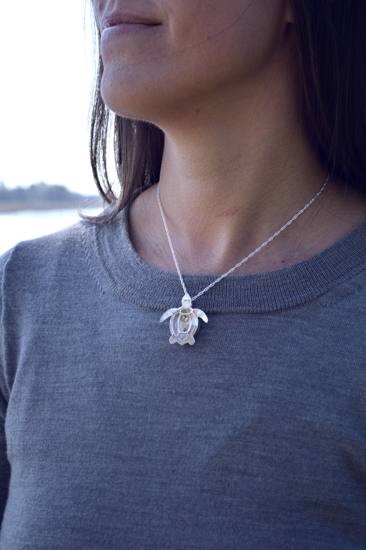 3D Turtle Shadow Box Pendant