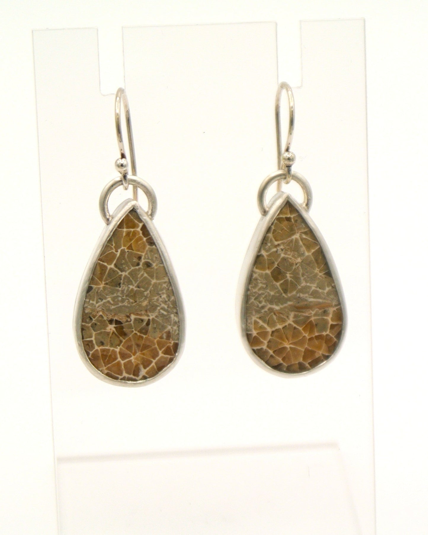Fossil Agate Dangle Earrings