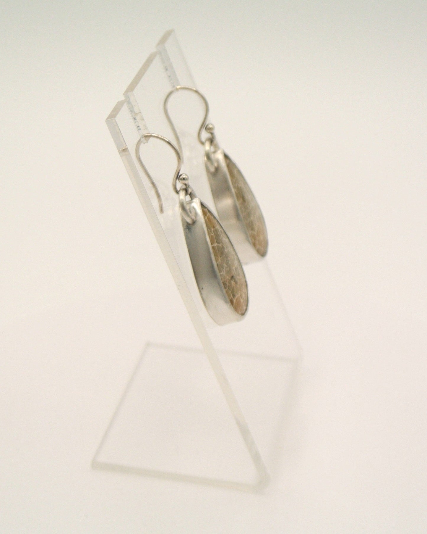 Fossil Agate Dangle Earrings
